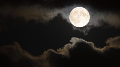 वैज्ञानिकले अब चन्द्रमामा बिरुवा उब्जनी गर्ने